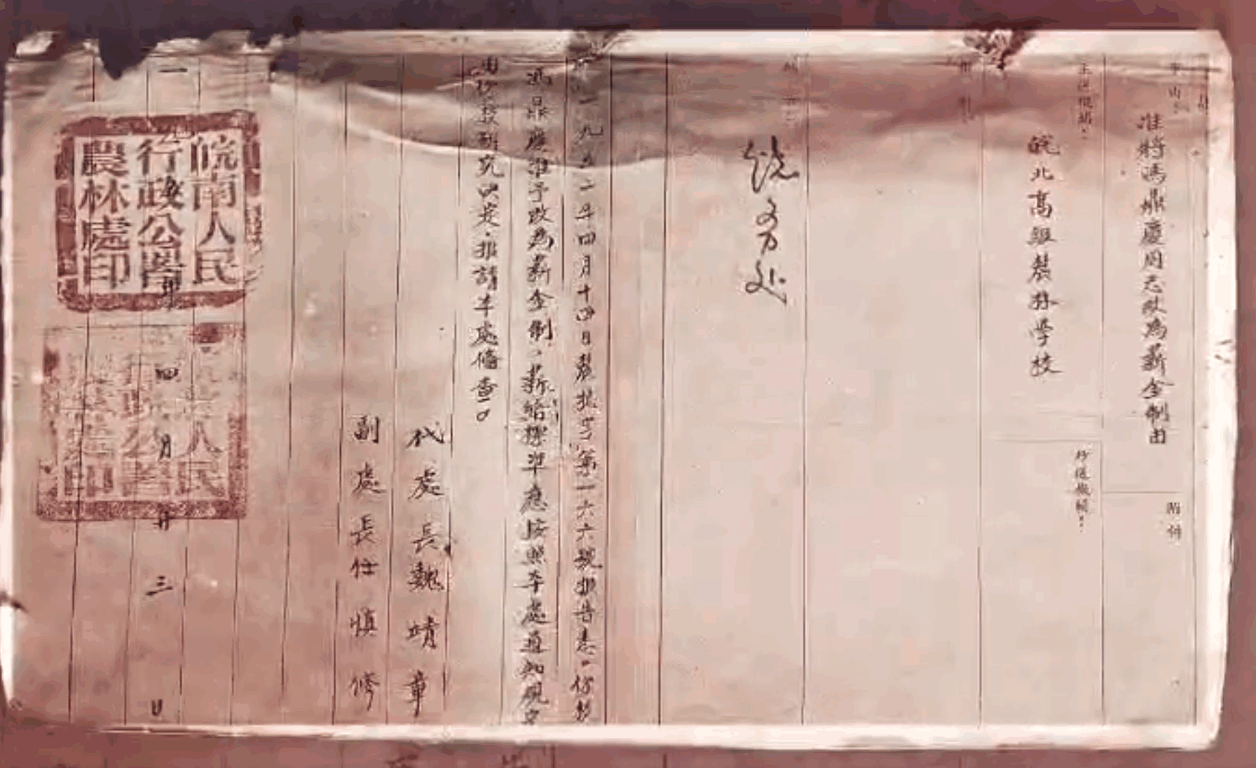 开始举办本科教育